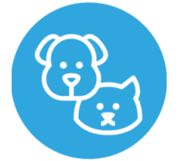 Mascotas