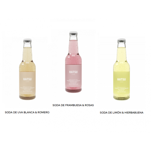 Hatsu Soda Sabores Surtido Botella X 300 ML