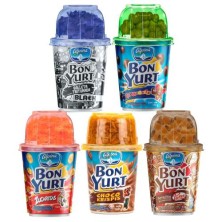 Bon-Yurt Alpina X 173 Gramos (Sabores surtidos)