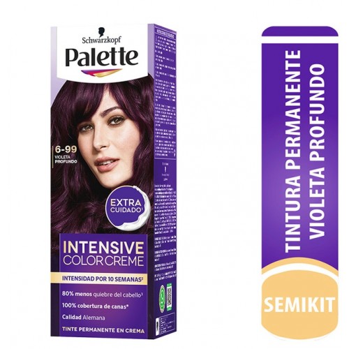 Palette Extra cuidado Tinte permanente en crema 6-99 Violeta Profundo Kit X 1 Unidad 