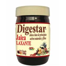 digestar jalea x 300 gr